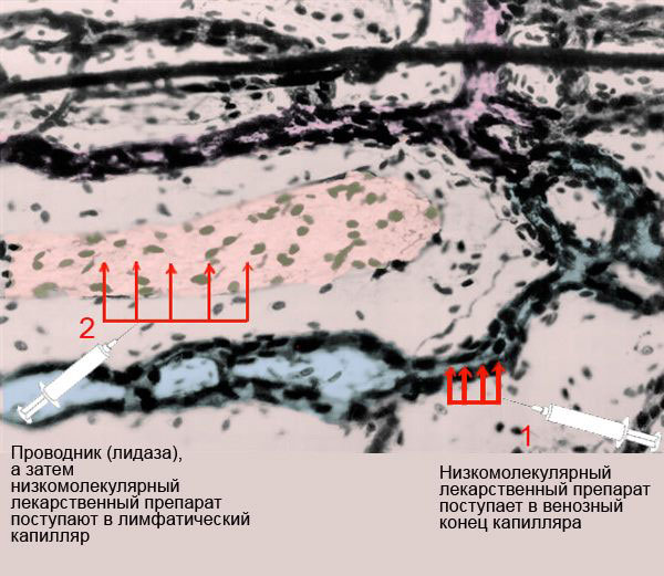 ������������� �������� � ����� � �����