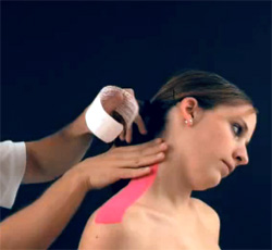 Исследование мышц и кожи шеи, фото